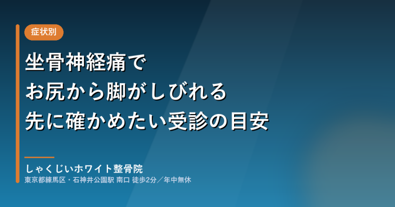 坐骨神経痛でお尻から脚がしびれるときに先に確かめたい受診の目安(しゃくじいホワイト整骨院)
